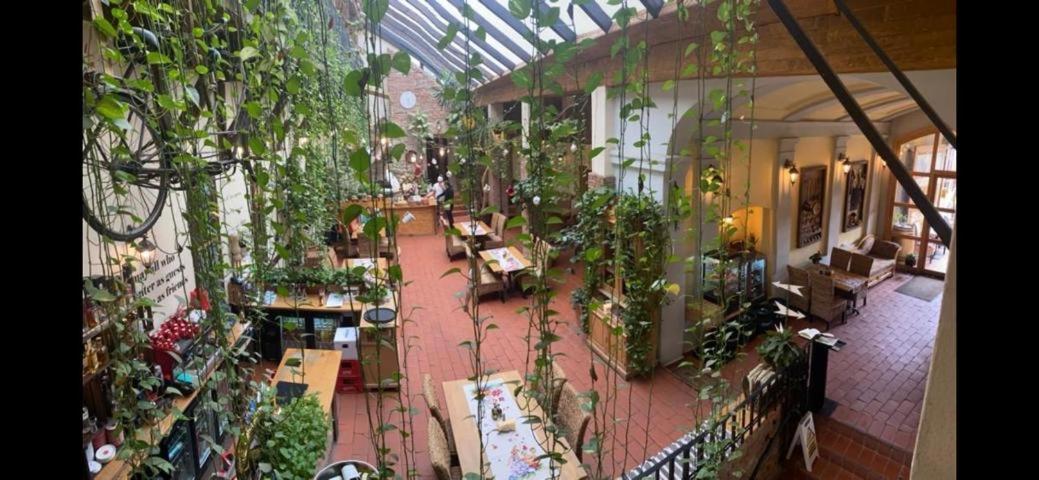 锡吉什瓦拉 阿尔特博斯特旅馆酒店 外观 照片